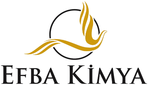 logo efba-1